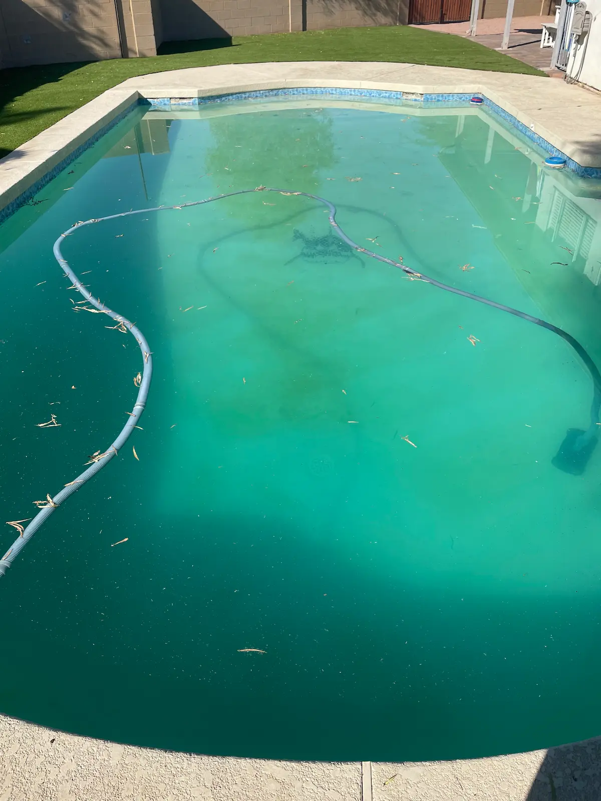 Green algae pool before HammerHead service
